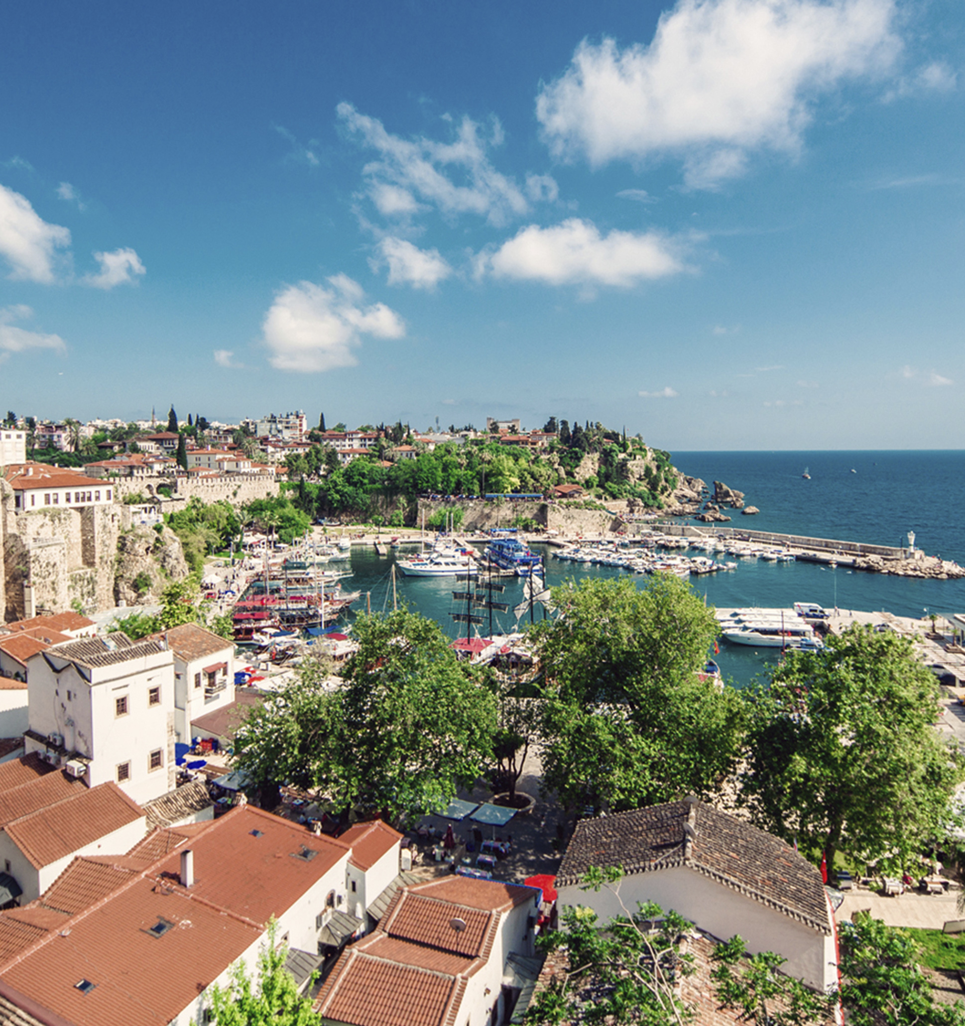 Next Tournament 2026